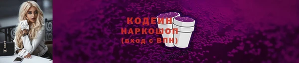 2c-b Бородино
