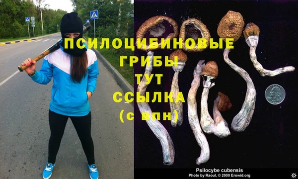 ешки Богородск