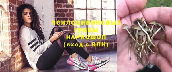 2c-b Бородино