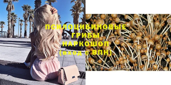 а пвп мука Бронницы